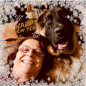 Meet your Posher, Anne